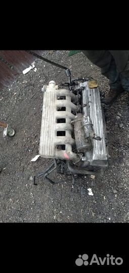 Двигатель 25тди