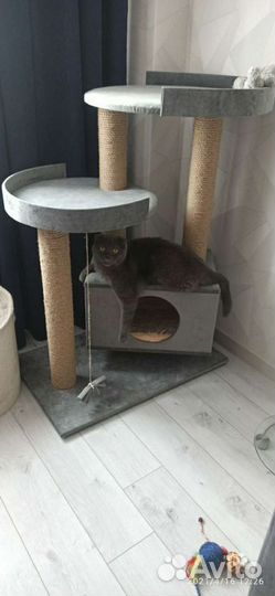 Когтеточка с лежанкой