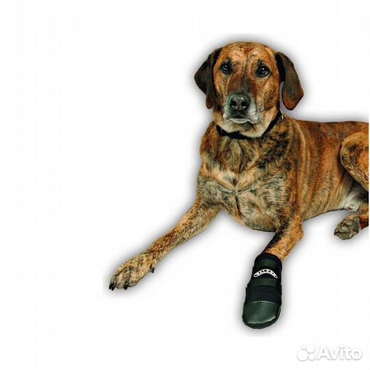 Трикси 1955 Тапок XXL неопреновый 2 шт ротвейлер