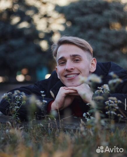 Диплом / курсовая / диссертация / ВКР