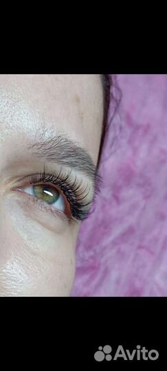 Ресницы брови новый город