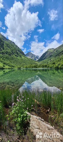 Авторский тур в Домбай - “Жемчужина Кавказа”