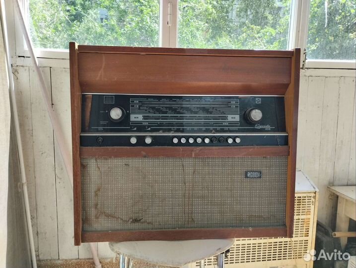 Радиола riconda