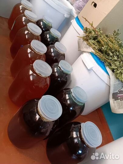 Мёд гречишный, пустырник, расторопша и забрус