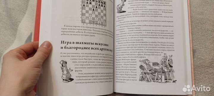 Герд Шнайдер 