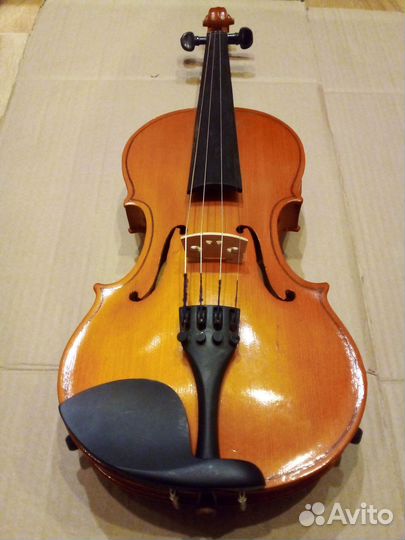 Скрипку 4/4 советы массив