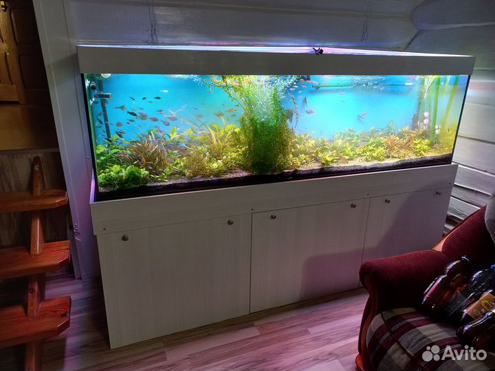 Аквариум с рыбками