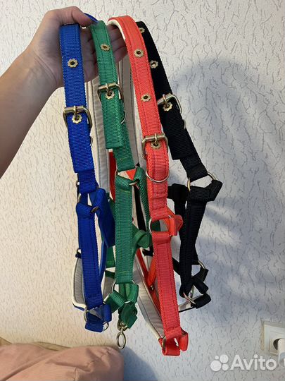 Недоуздок для лошади и пони