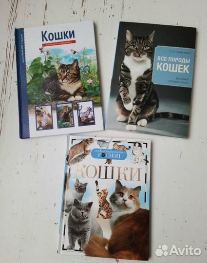 Книги о кошках