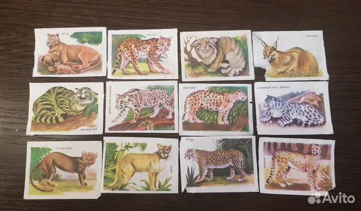 Спичечные этикетки СССР