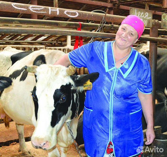 Доярка с проживанием.Вахта