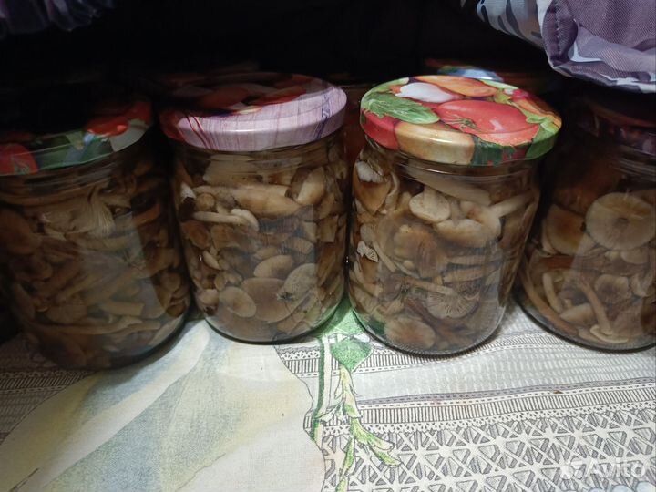 Грибы лисички маринованные