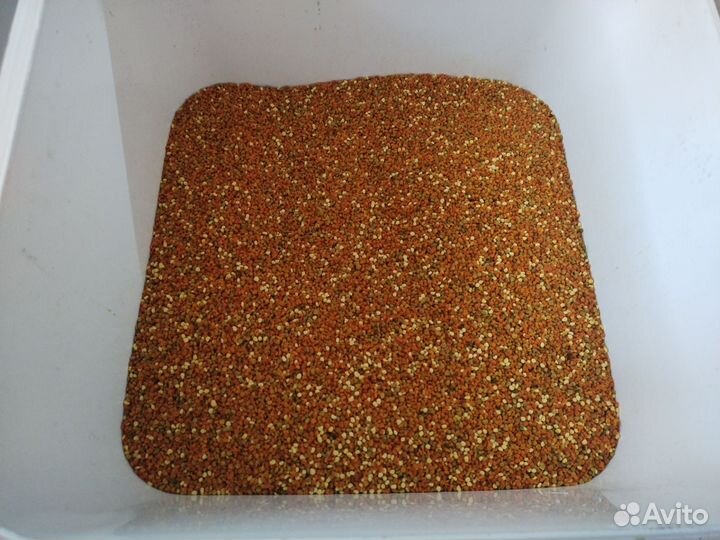 Пыльца пчелиная