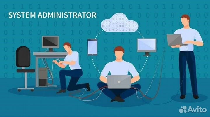 Системный администратор