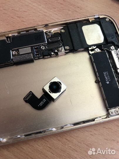 Основная камера iPhone 7