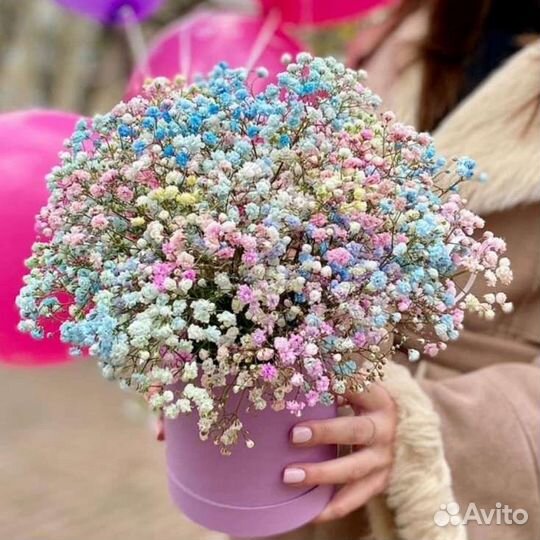 Гипсофила Шляпная коробка