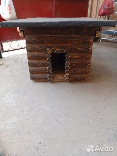 Собачья будка