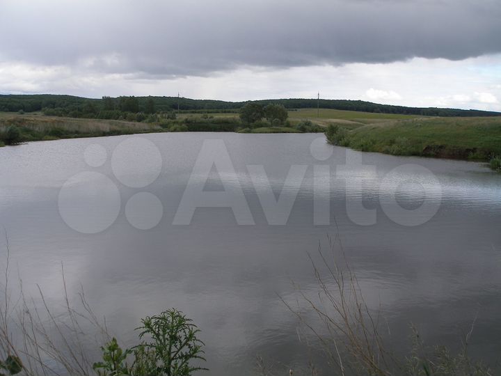 Дом 50 м² на участке 40 сот.