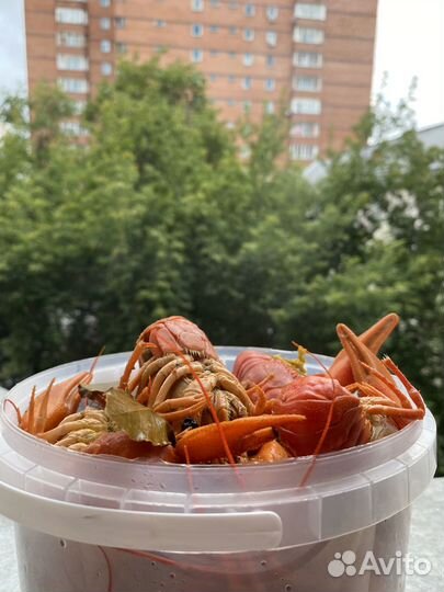 Живые и варёные раки