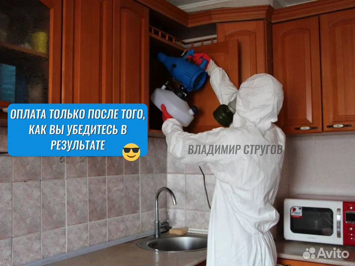 Уничтожение клопов, травить тараканов /Дезинфекция