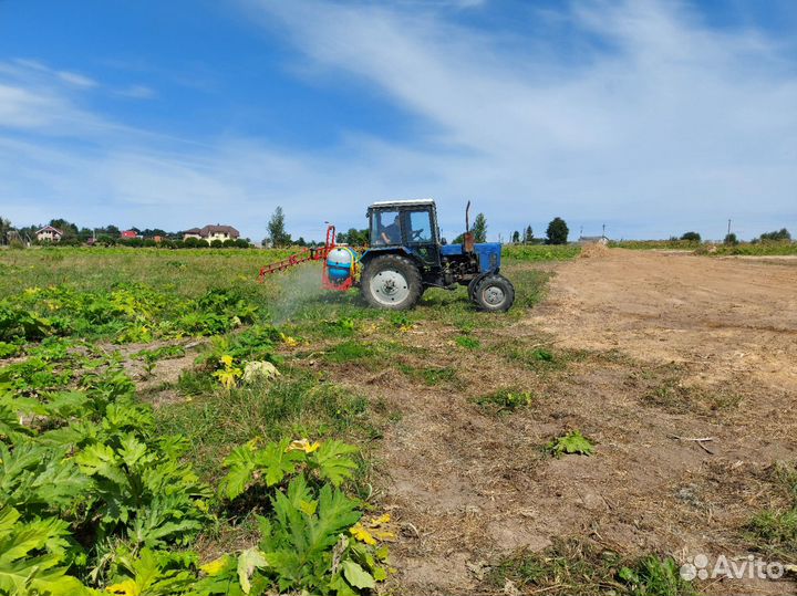 Уничтожение борщевика, комаров, мошек и др