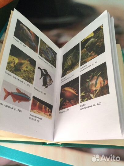 Подарочные книги