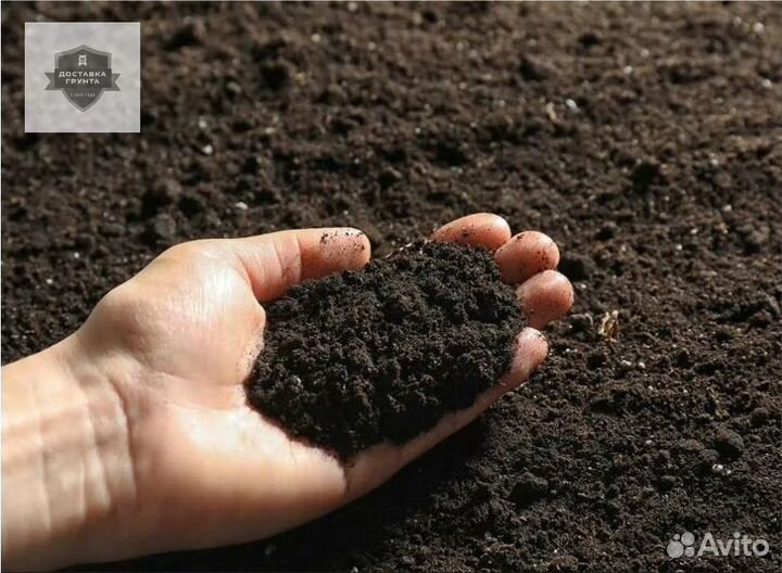 Купить землю чернозем