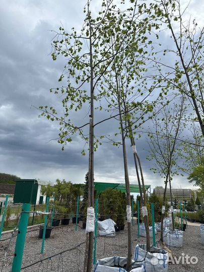 Крупномеры в ассортименте