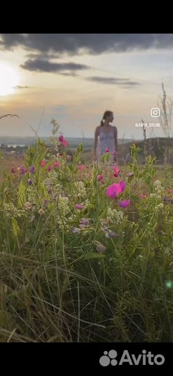 Видеосъемка видеограф