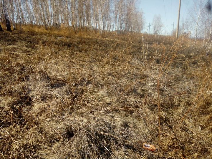 Участок 10 сот. (СНТ, ДНП)