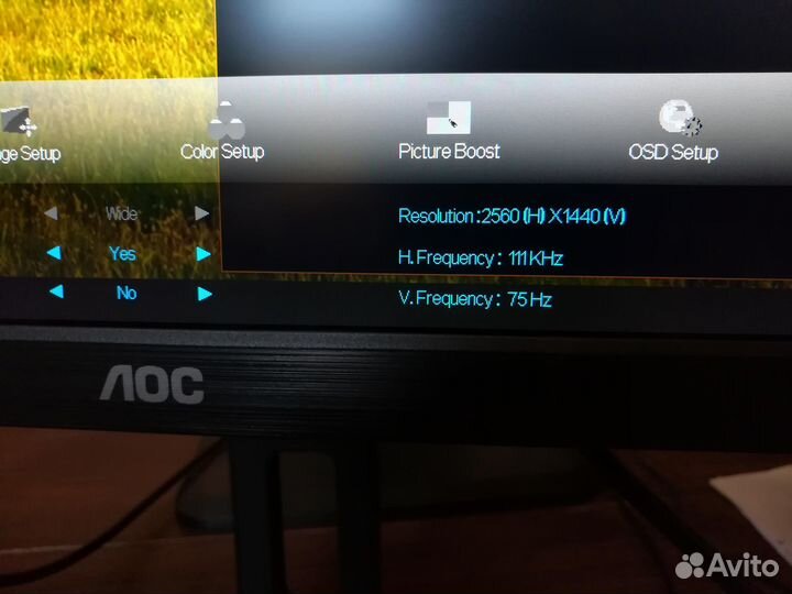 Мониторы iiyama 23.8