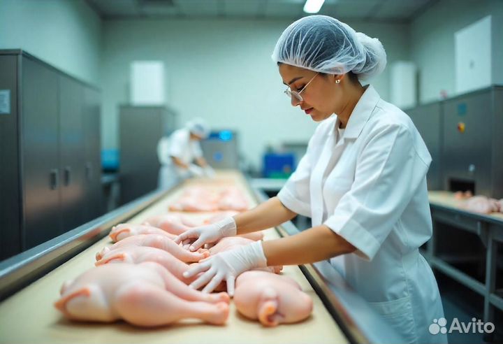 Обработчик птицы на Птицефабрике в Новобатурино