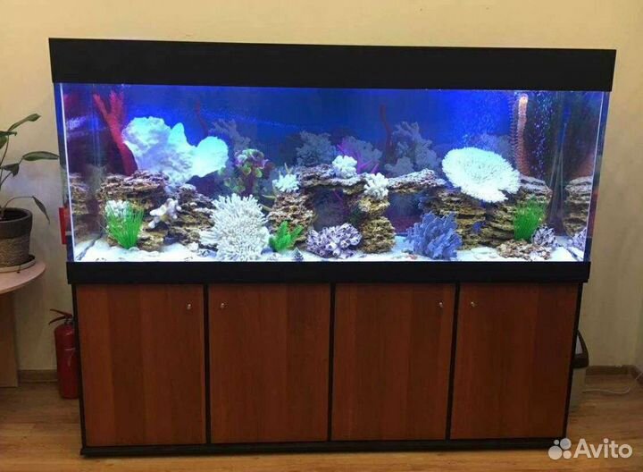 Аквариумы. Дизайн. Оформление