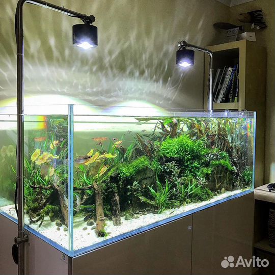 Обслуживание аквариумов, чистка