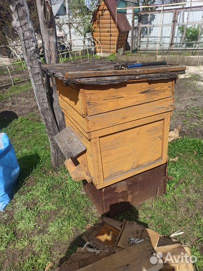 Улей для пчел бу