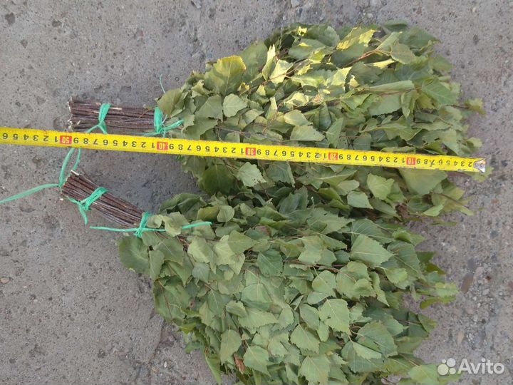 Веники для бани