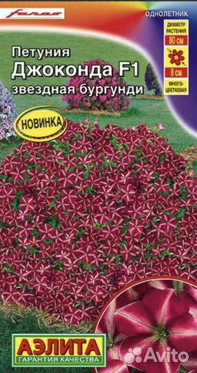 Рассада петунии