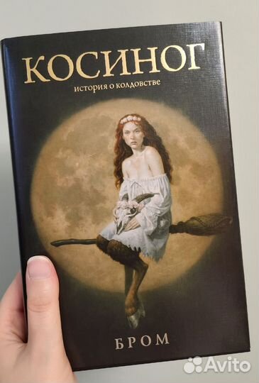 Книга Косиног (Бром)