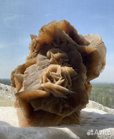 Минерал- роза пустыни. Большая