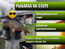 Рыбалка на турбазе Албаши Краснодарский край