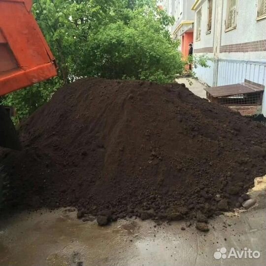 Чернозем земля