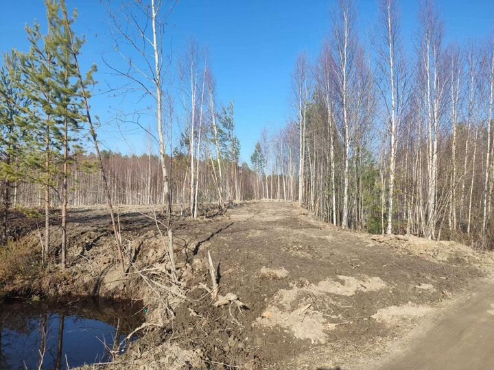 Участок 15 сот. (ИЖС)