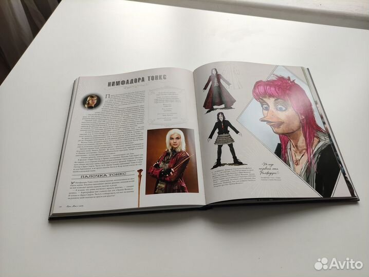 Гарри Поттер. Герои. Маги и Маглы