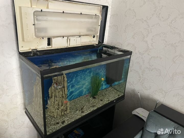 Аквариум с тумбой 180 литров