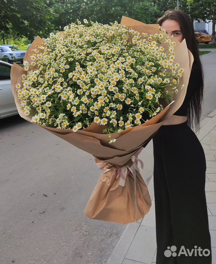 1001 Ромашка. Букеты-Гиганты Ромашек