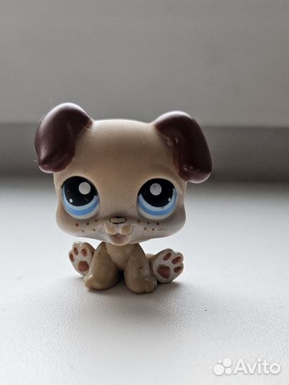 Littlest pet shop lps, LPS