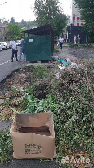 Котята с мусорки