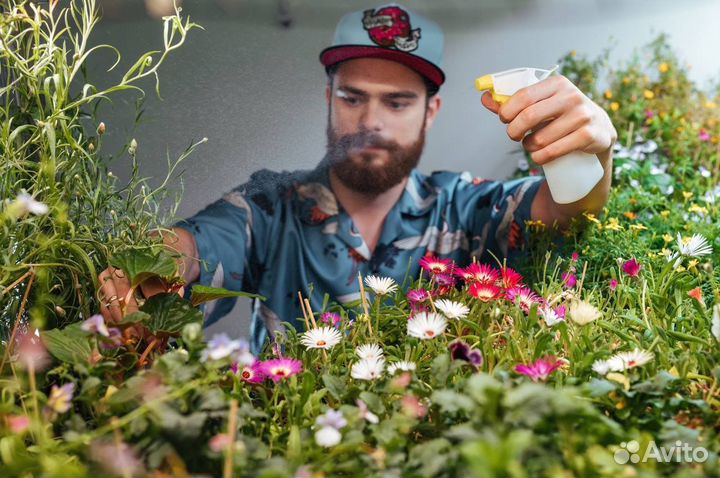 Открой ситиферму в своем городе