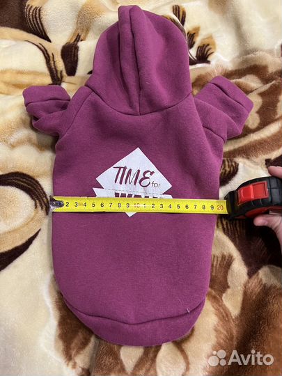 Одежда для собак