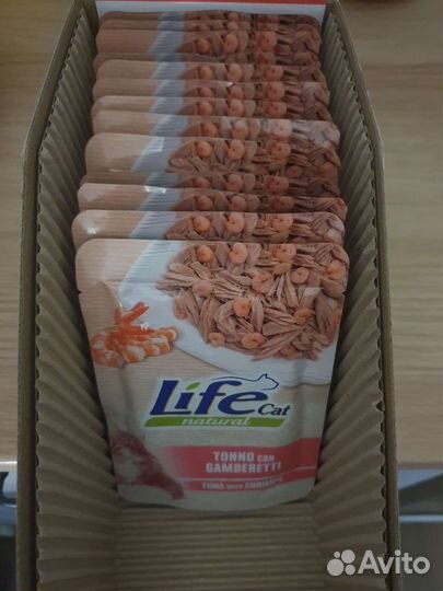 Lifecat паучи